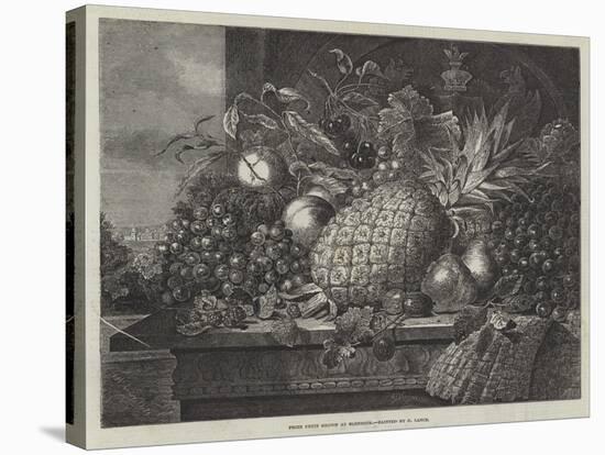 Prize Fruit Grown at Blenheim-John Wykeham Archer-Stretched Canvas