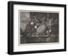 Prize Fruit Grown at Blenheim-John Wykeham Archer-Framed Giclee Print