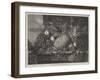 Prize Fruit Grown at Blenheim-John Wykeham Archer-Framed Giclee Print