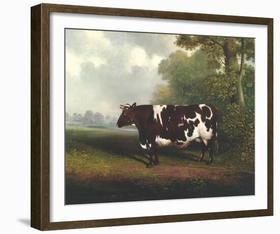 Prize Heifer-C^D^ Lange-Framed Giclee Print