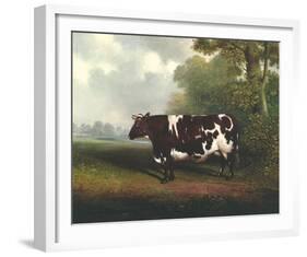 Prize Heifer-C^D^ Lange-Framed Giclee Print