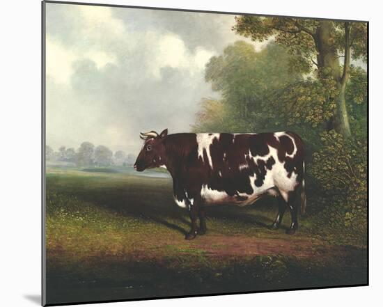 Prize Heifer-C^D^ Lange-Mounted Giclee Print