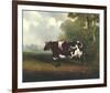 Prize Heifer-C^D^ Lange-Framed Giclee Print