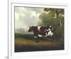 Prize Heifer-C^D^ Lange-Framed Giclee Print