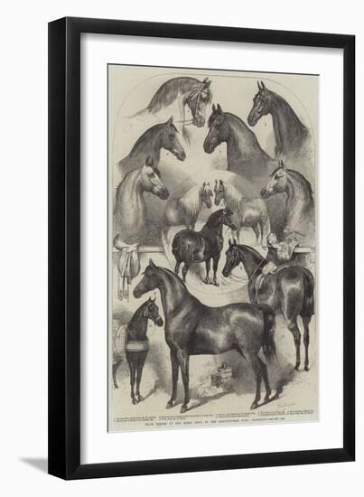 Prize Horses at the Horse Show in the Agricultural Hall, Islington-Harden Sidney Melville-Framed Giclee Print