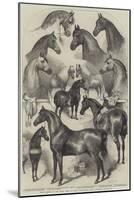 Prize Horses at the Horse Show in the Agricultural Hall, Islington-Harden Sidney Melville-Mounted Giclee Print