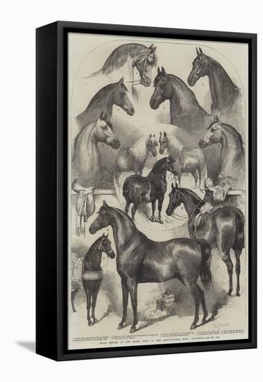 Prize Horses at the Horse Show in the Agricultural Hall, Islington-Harden Sidney Melville-Framed Stretched Canvas