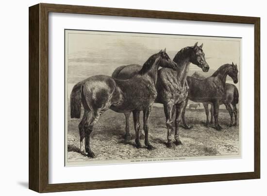 Prize Horses at the Horse Show in the Agricultural Hall, Islington-Harrison William Weir-Framed Giclee Print