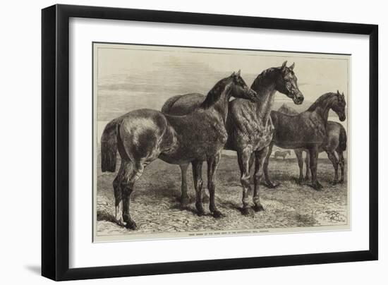 Prize Horses at the Horse Show in the Agricultural Hall, Islington-Harrison William Weir-Framed Giclee Print