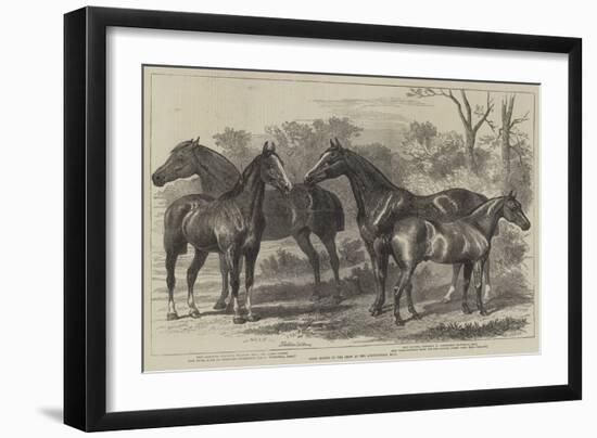 Prize Horses in the Show at the Agricultural Hall-Alfred Sheldon-Williams-Framed Giclee Print