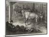 Prize Jersey Cows at the Bath and West of England Agricultural Show at Southampton-George Bouverie Goddard-Mounted Giclee Print