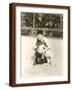 Brown Frame
