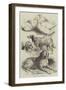 Prize Poultry and Dogs at the Birmingham Show-Harrison William Weir-Framed Giclee Print