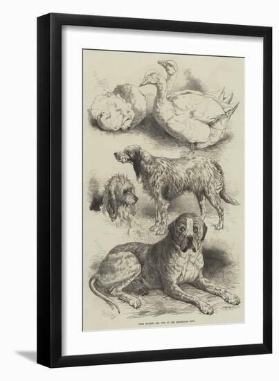 Prize Poultry and Dogs at the Birmingham Show-Harrison William Weir-Framed Giclee Print