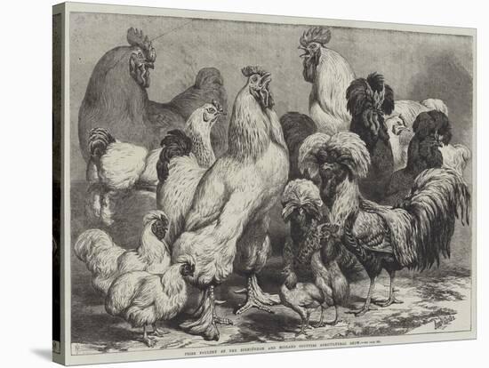 Prize Poultry at the Birmingham and Midland Counties Agricultural Show-Samuel John Carter-Stretched Canvas