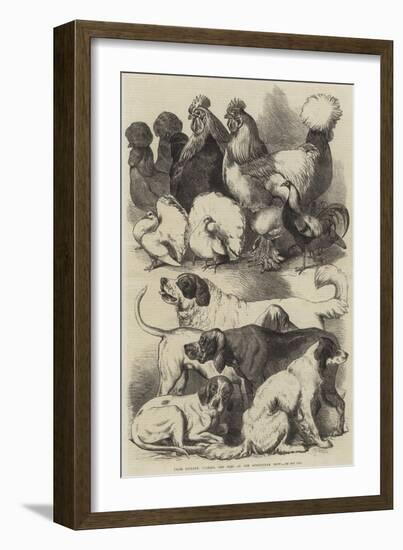 Prize Poultry, Pigeons, and Dogs at the Birmingham Show-Harrison William Weir-Framed Giclee Print