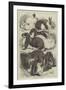 Prize Rabbits at the Crystal Palace Show-Samuel John Carter-Framed Giclee Print