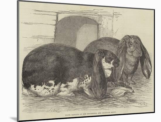 Prize Rabbits at the Rochester and Chatham Show-Harrison William Weir-Mounted Giclee Print