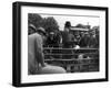 Prize Sheep Sale-null-Framed Photographic Print