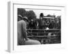 Prize Sheep Sale-null-Framed Photographic Print