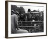 Prize Sheep Sale-null-Framed Photographic Print