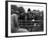 Prize Sheep Sale-null-Framed Photographic Print