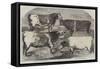 Prize Shorthorns at the Royal Agricultural Society's Show, Canterbury-Harrison William Weir-Framed Stretched Canvas