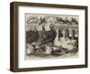 Prize Turkeys, Ducks, and Pigeons at the Birmingham Poultry Show-Samuel John Carter-Framed Giclee Print