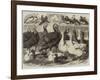 Prize Turkeys, Ducks, and Pigeons at the Birmingham Poultry Show-Samuel John Carter-Framed Giclee Print