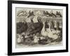 Prize Turkeys, Ducks, and Pigeons at the Birmingham Poultry Show-Samuel John Carter-Framed Giclee Print