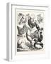 Prize Winners at the Crystal Palace Poultry Show, London, 1876, Uk-null-Framed Giclee Print