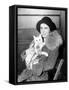 Prize Winning Cat 1931-null-Framed Stretched Canvas