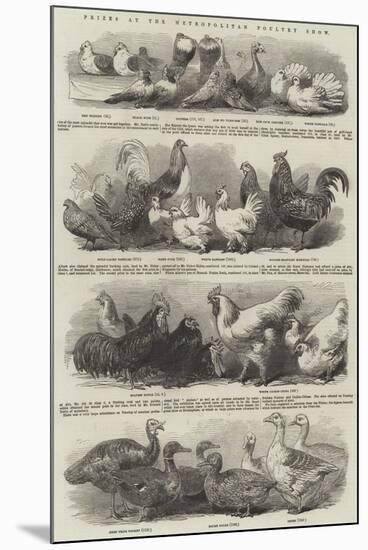 Prizes at the Metropolitan Poultry Show-null-Mounted Giclee Print