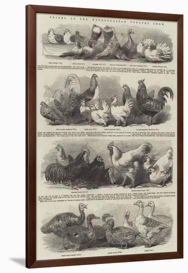 Prizes at the Metropolitan Poultry Show-null-Framed Giclee Print