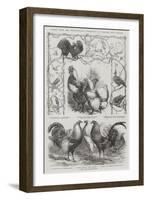 Prizes from the Metropolitan Exhibition of Poultry and Pigeons-Harrison William Weir-Framed Giclee Print