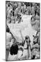 Pro-Choice Democrats Protesting the Anti-Abortion Candidate, Ellen McCormack, 1976-null-Mounted Photo