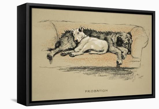 Probation, 1930, 1st Edition of Sleeping Partners-Cecil Aldin-Framed Stretched Canvas