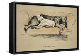 Probation, 1930, 1st Edition of Sleeping Partners-Cecil Aldin-Framed Stretched Canvas