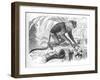 'Proboscis Monkey', c1900-Helena J. Maguire-Framed Giclee Print