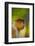 Proboscis Monkey (Nasalis Larvatus), Sabah Malaysia, Borneo-Juan Carlos Munoz-Framed Photographic Print