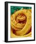 Proboscis Tip of a Swallowtail Butterfly-Micro Discovery-Framed Photographic Print