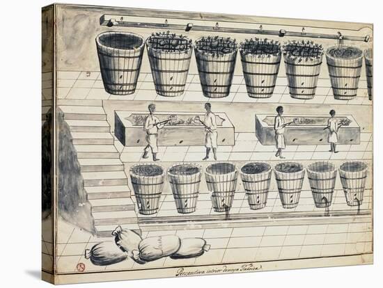 Processing Cycle for Extracting Sugar from Beet, Watercolor, Portugal, 19th Century-null-Stretched Canvas