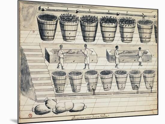 Processing Cycle for Extracting Sugar from Beet, Watercolor, Portugal, 19th Century-null-Mounted Giclee Print