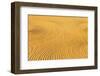 Processing of Organic Wheat-undefined undefined-Framed Photographic Print