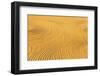 Processing of Organic Wheat-undefined undefined-Framed Photographic Print