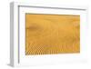 Processing of Organic Wheat-undefined undefined-Framed Photographic Print