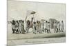 Procession in Madras, Watercolour, India, 18th Century-null-Mounted Giclee Print