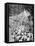 Procession to a Buddhist Temple, Diyatalawa, Ceylon, C1945-null-Framed Stretched Canvas