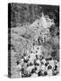 Procession to a Buddhist Temple, Diyatalawa, Ceylon, C1945-null-Stretched Canvas