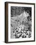 Procession to a Buddhist Temple, Diyatalawa, Ceylon, C1945-null-Framed Giclee Print